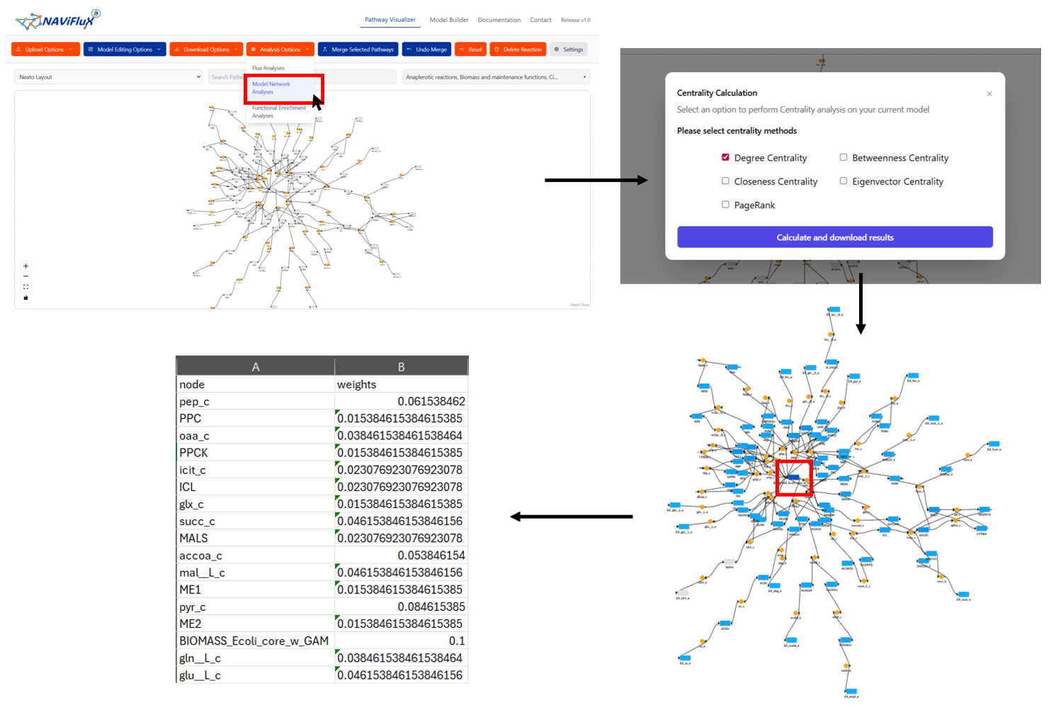 Centrality Analysis Workflow