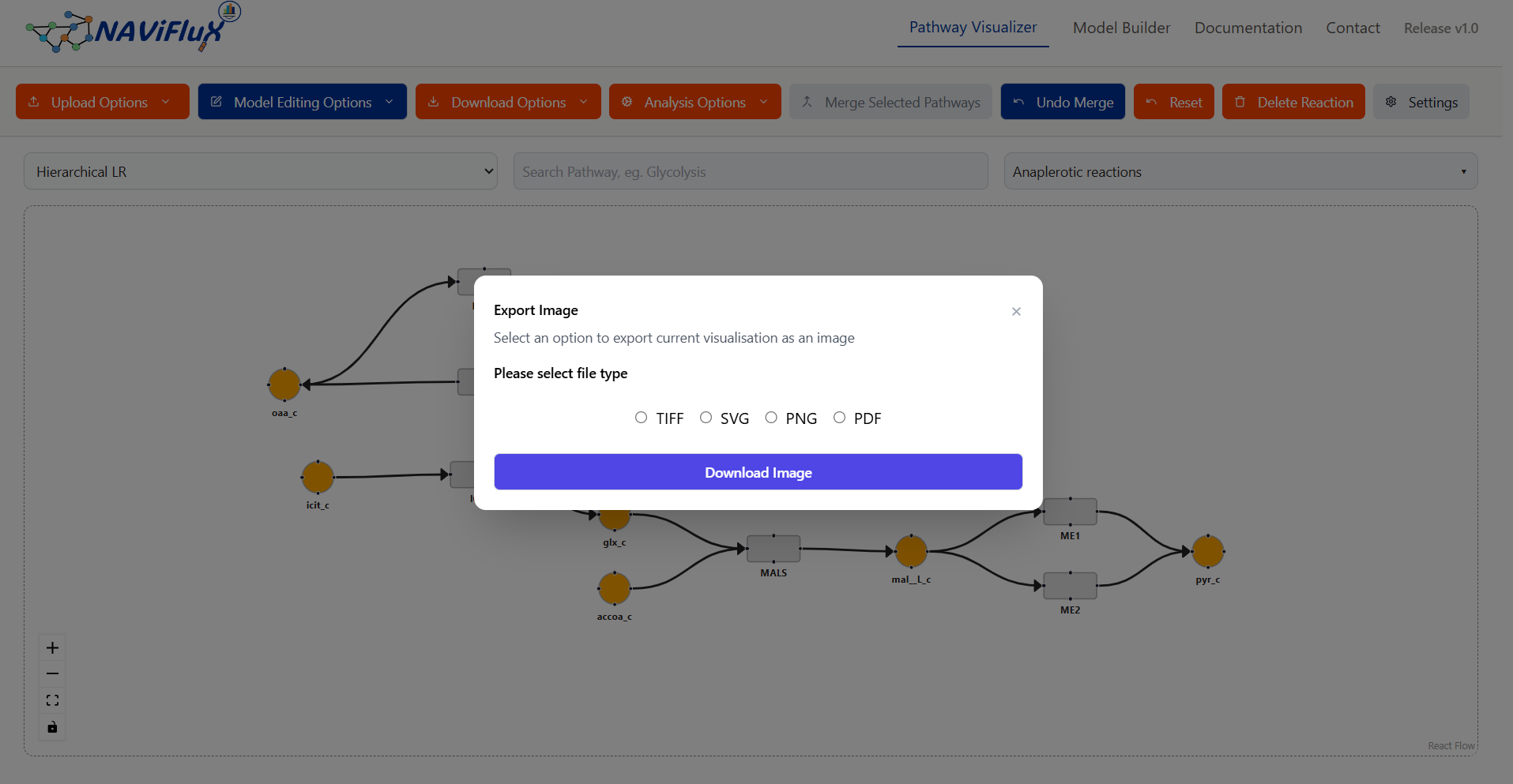 Download-Modal-Image