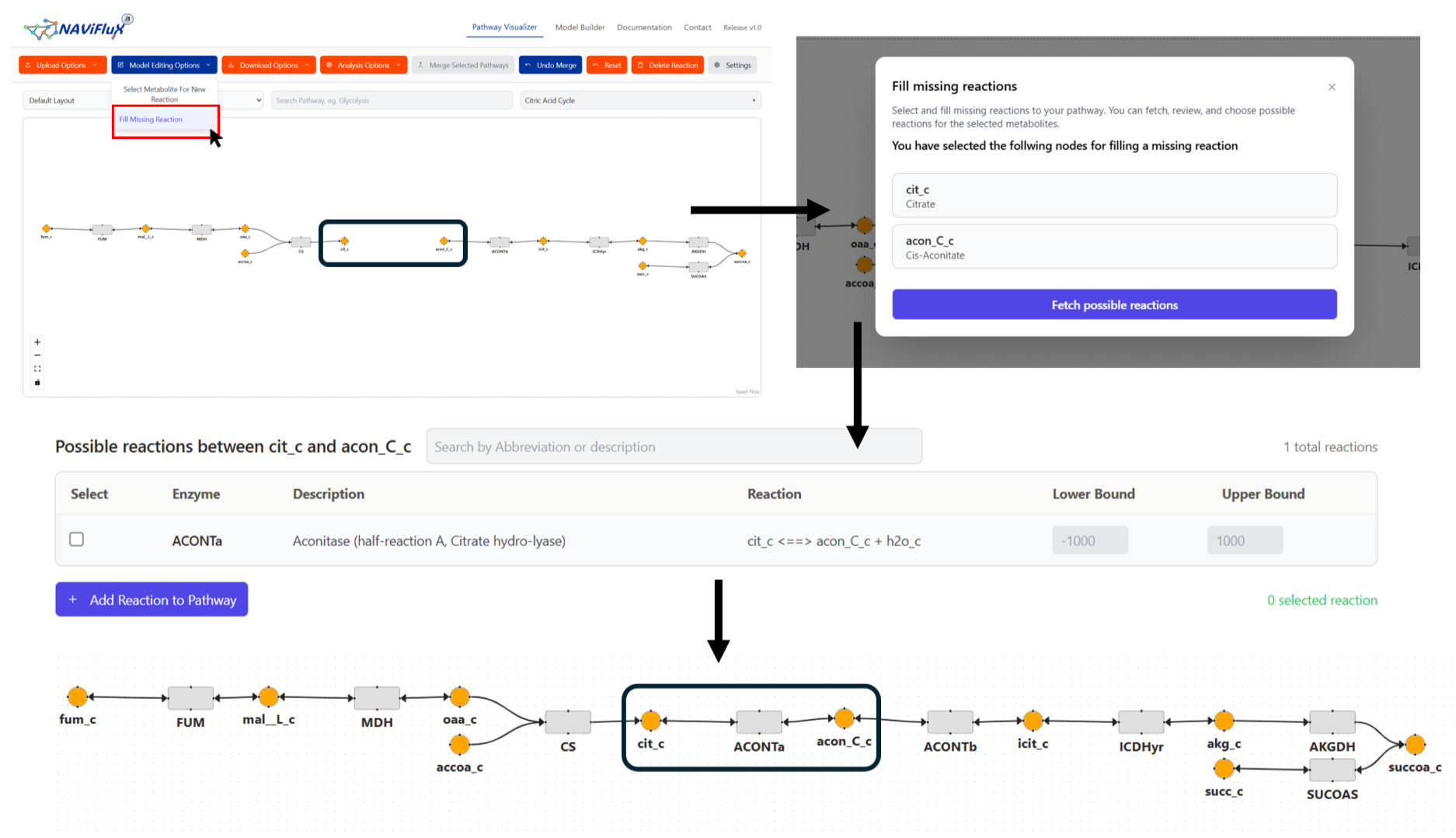 Fill Missing Reaction