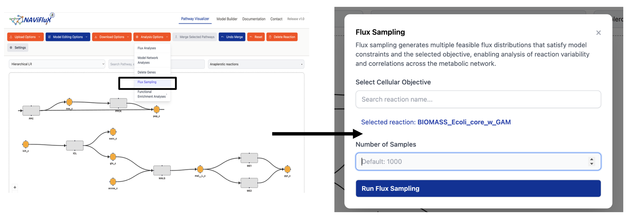 Flux Sampling