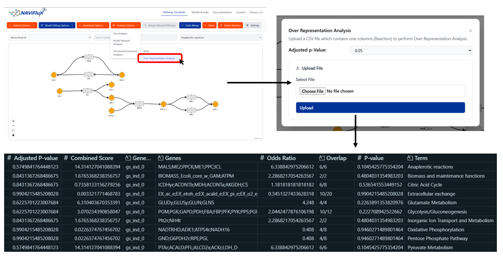 Over Representation Analysis