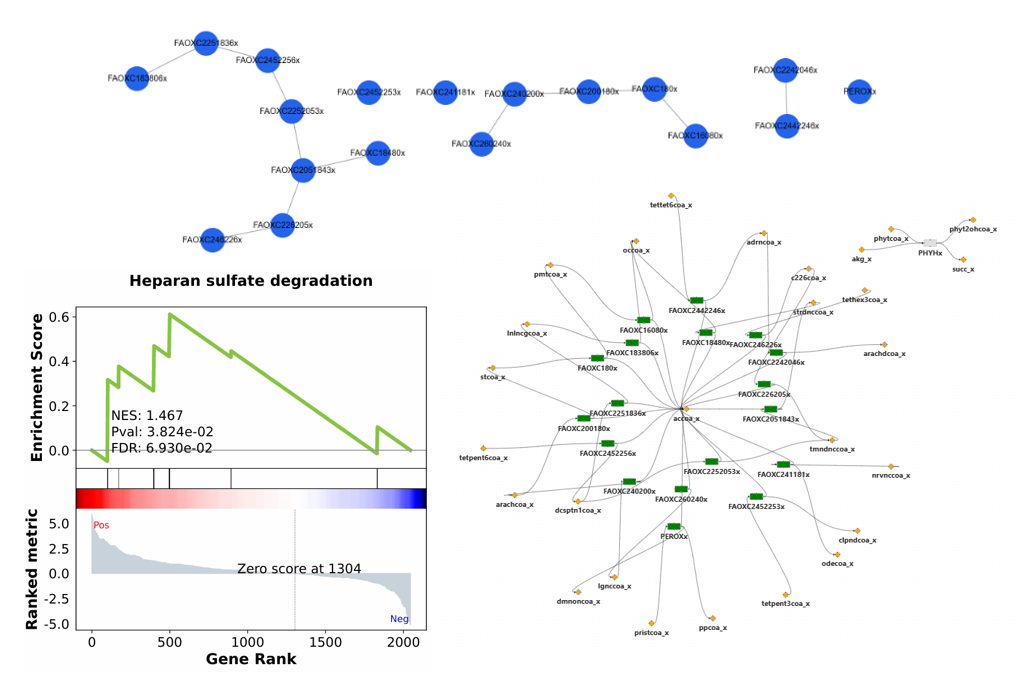 Show the enriched reactions